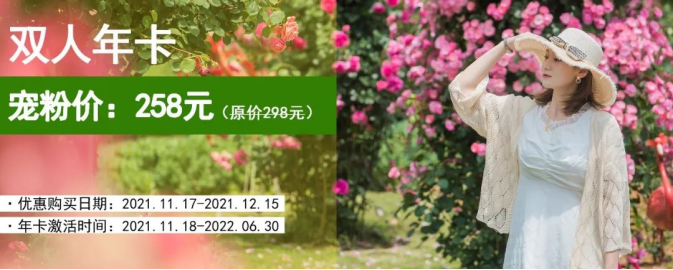 11281638085279979962.png image.png